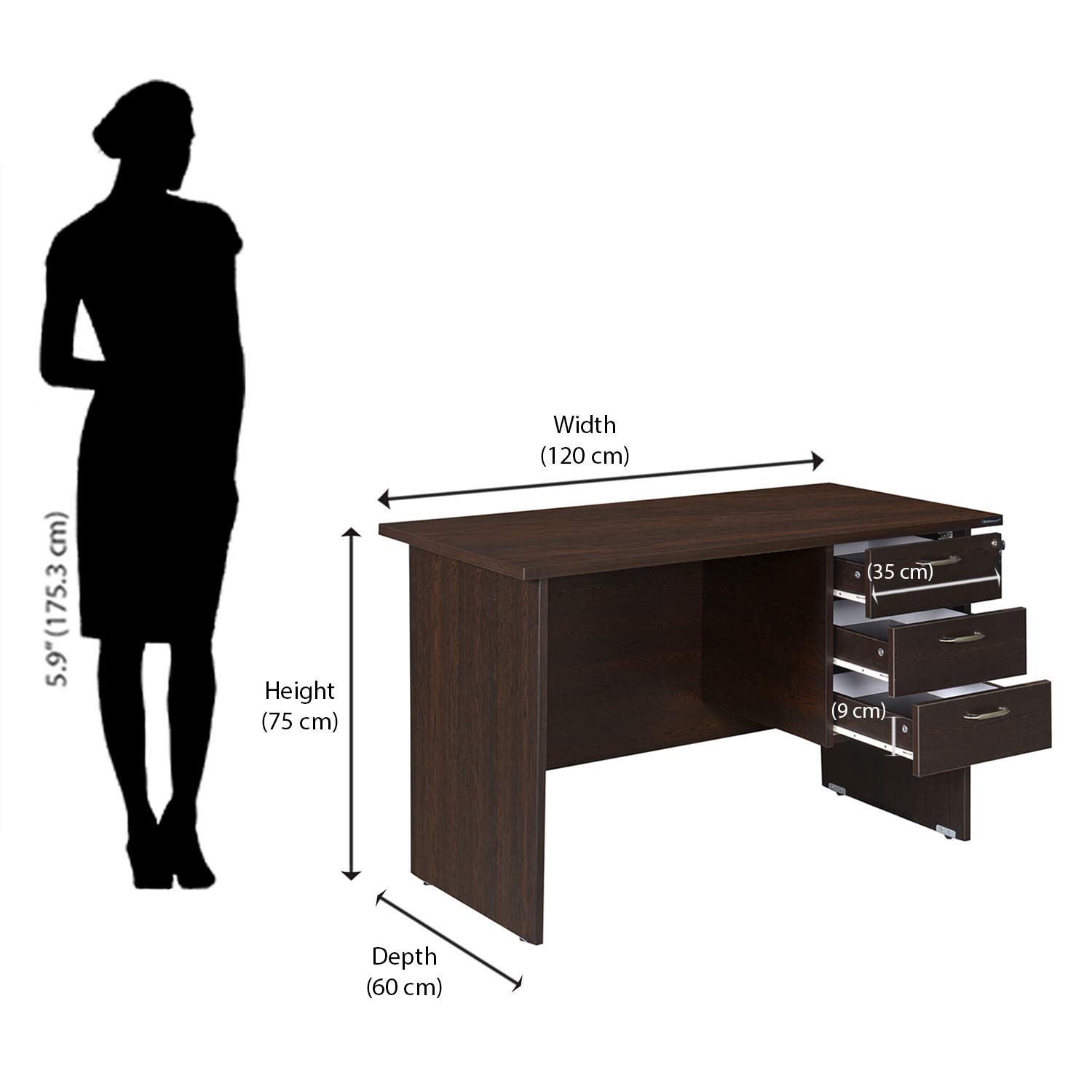 Conference Seat, Hammock Swing, Electric Adjustable Table, Wooden Credenza, Reception Desk, Strong Mesh Seat, High Back Ergonomic Seat, Orthopedic Office Seat, Study Desk, Executive Office Desk, Advance Office Desk, Eames Dinning Table, Eames Chairs, Catalina Office Seat, Stackable Chrome Seat, 2 Way Workstation, Metallic Filing Cabinet, Wooden Filing Cabinet.
