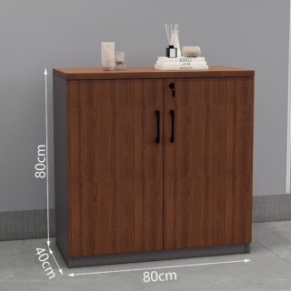 2 door credenza filing cabinet Nairobi Kenya