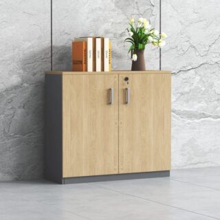 2 door credenza file cabinet Nairobi Kenya