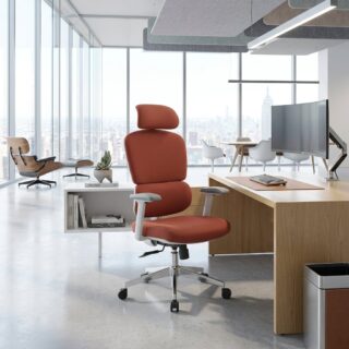 Robin Orthopedic Office Seat Nairobi Kenya