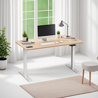 Professional sit-stand adjustable electric desk solution