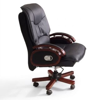 Director Executive Chair Kenya