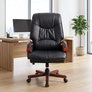 Executive Directors Chair Nairobi