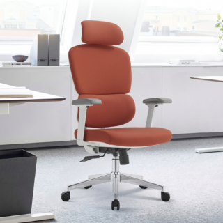 Robin Orthopedic Office Chair Kenya