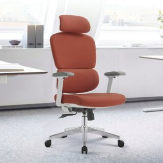 Robin Orthopedic Office Chair Kenya